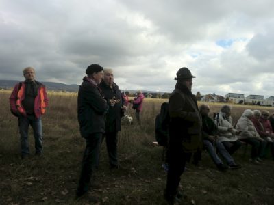 Mittelrast2 Mainflingen