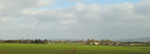 Panorama Seligenstadts