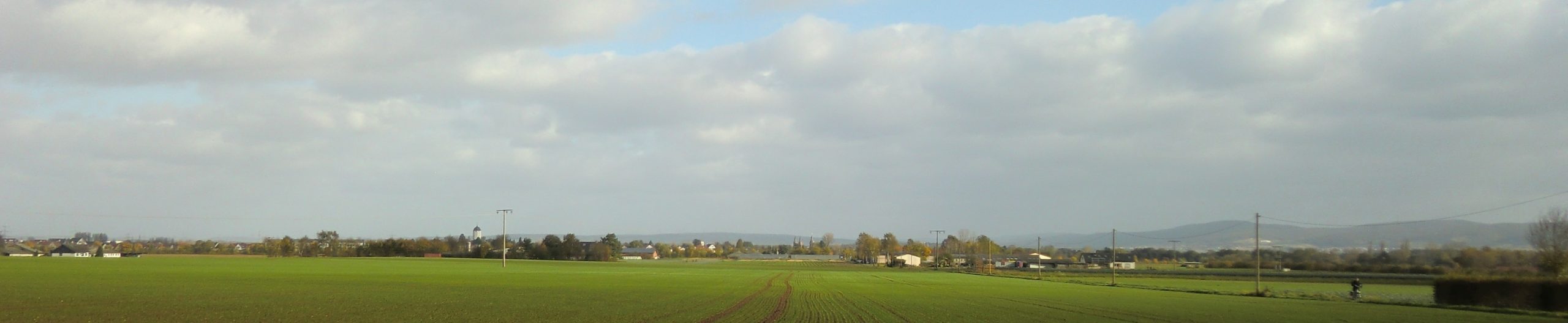 Panorama Seligenstadts