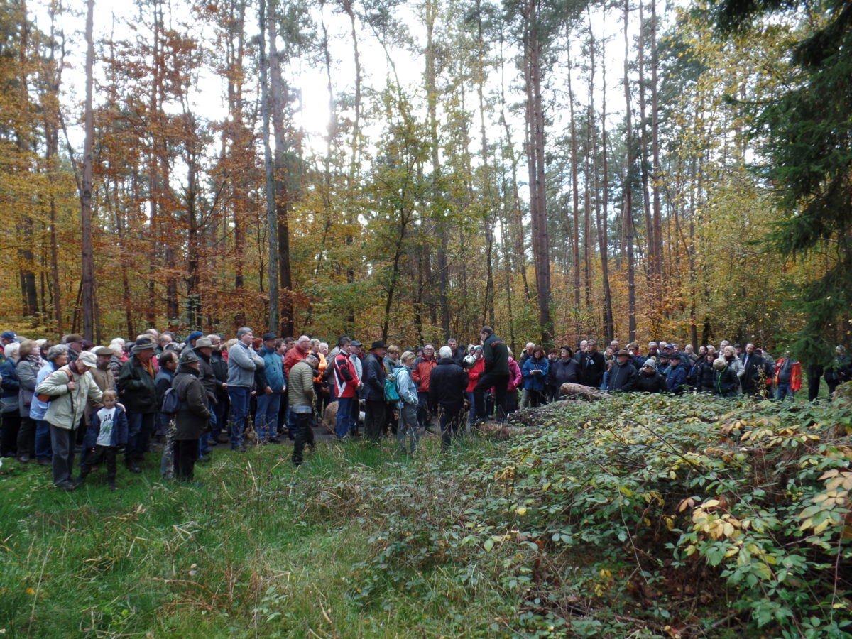 25 Jahre Grenzgang in Seligenstadt ein  voller Erfolg