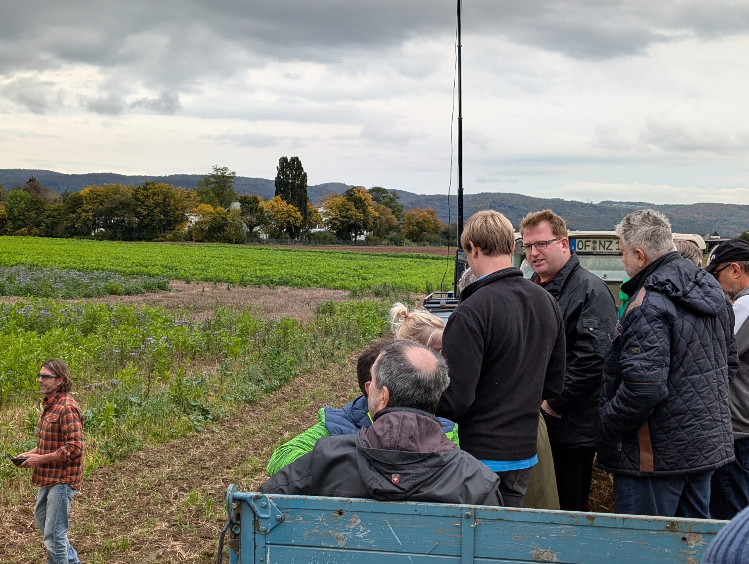 Keine große Freiflächen-Solaranlagen in Seligenstadt – Fokus auf bebaute Gebiete